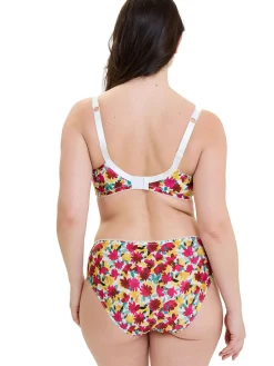 Culotte microfibre imprimée