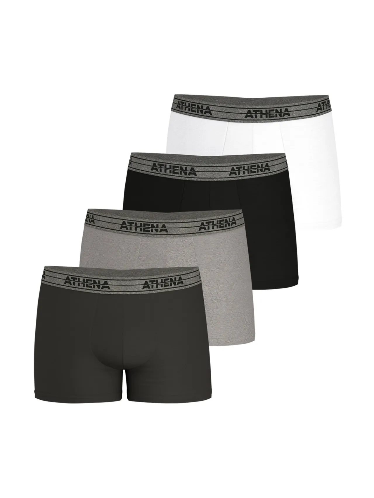 Lot de 4 boxers Basic Coton