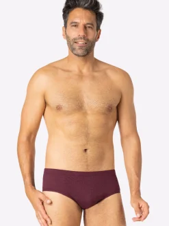 Lot de 3 slips Trio Fantaisie Héritage