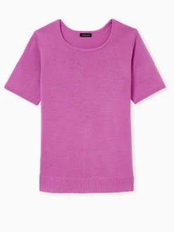 Pull manches courtes encolure ronde