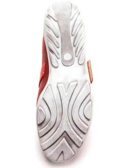 Salomés fantaisie à scratch