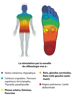 Semelles réflexologie spécial diabète
